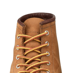 32-inch Taslan Lace - Boot Laces in Tan/Gold Taslan